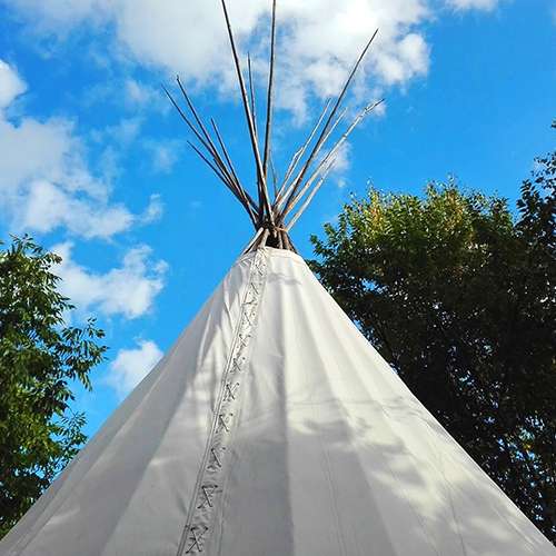 Board Members Call Out tipi 2473835 1